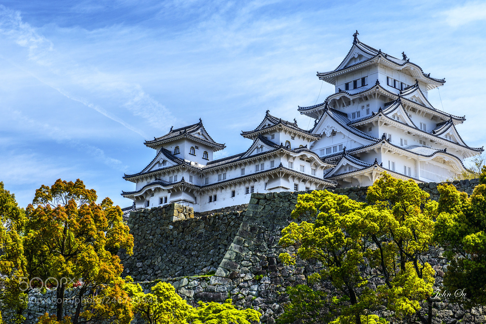 Nikon D800 sample photo. Himeji castle 姫路城 photography