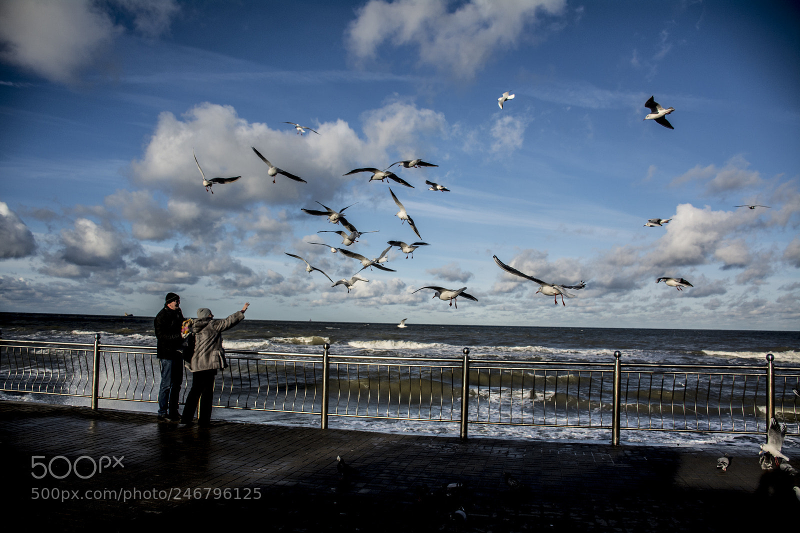 Nikon D5200 sample photo. Baltic sea photography