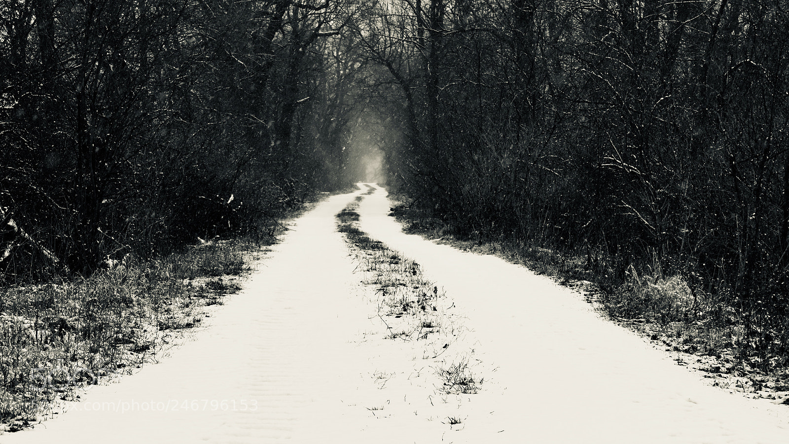 Leica V-Lux (Typ 114) sample photo. Way in photography