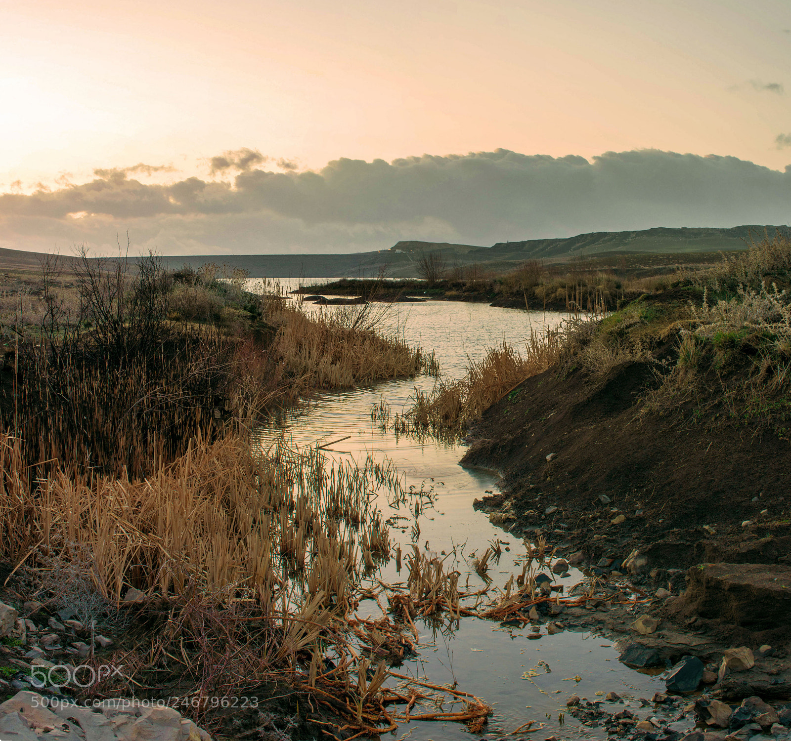 Nikon D7100 sample photo. The river flows photography