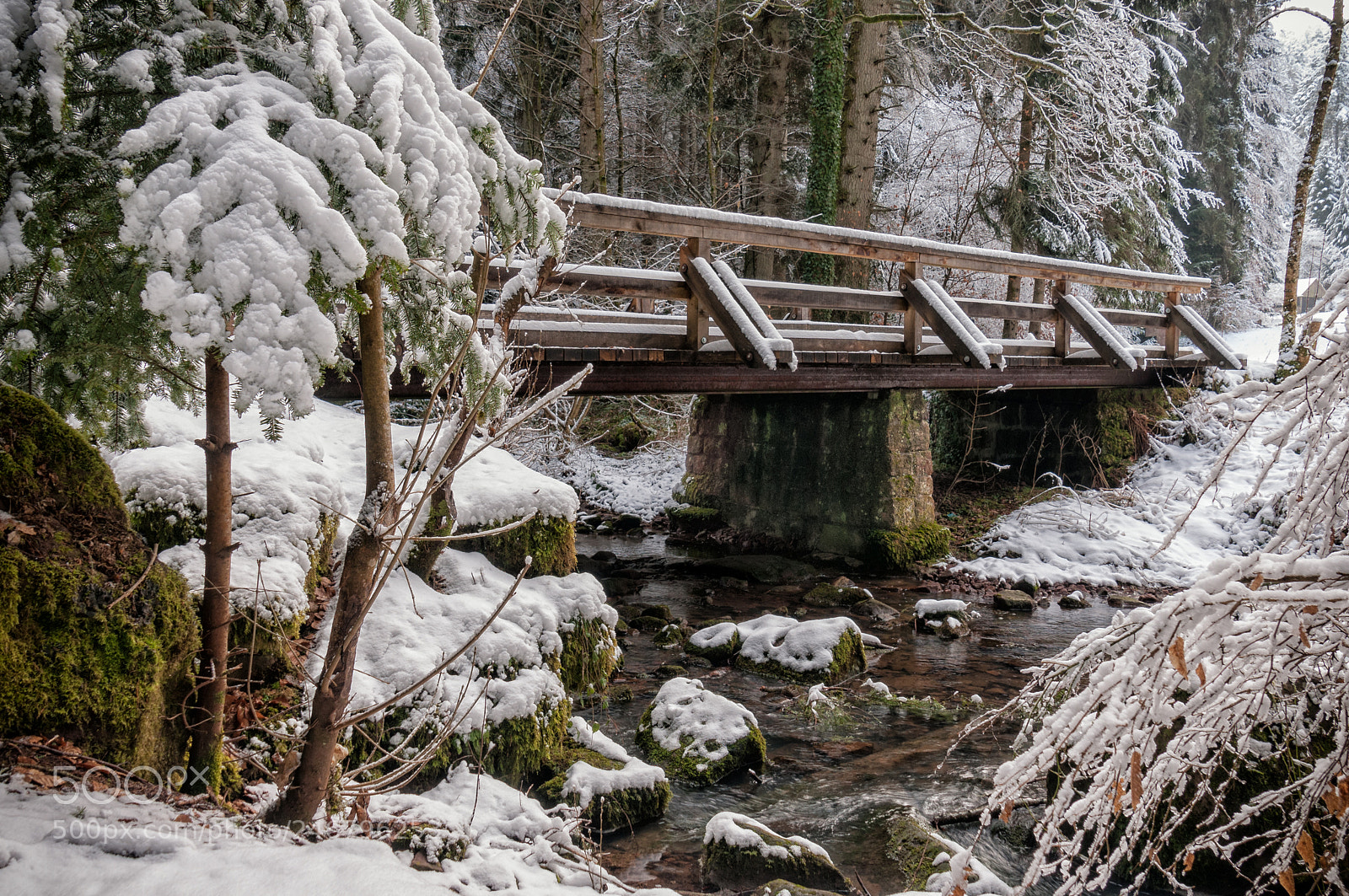 Nikon D300S sample photo. Monbachtal im winter photography