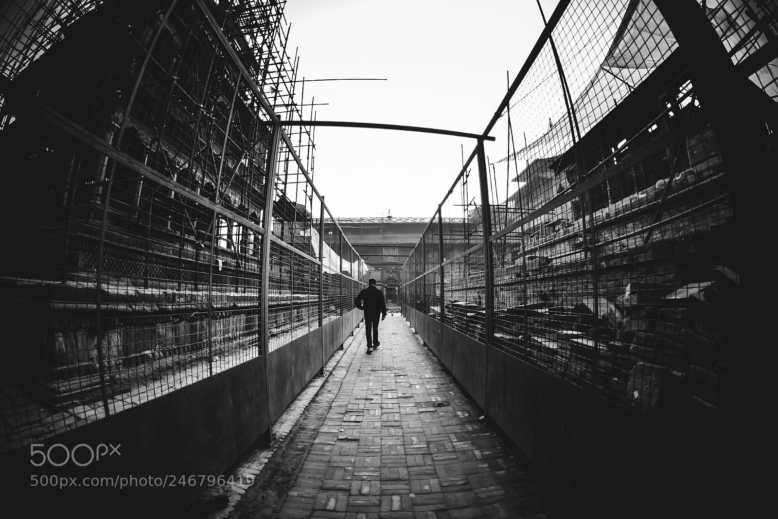 Nikon D7100 sample photo. Walking path photography