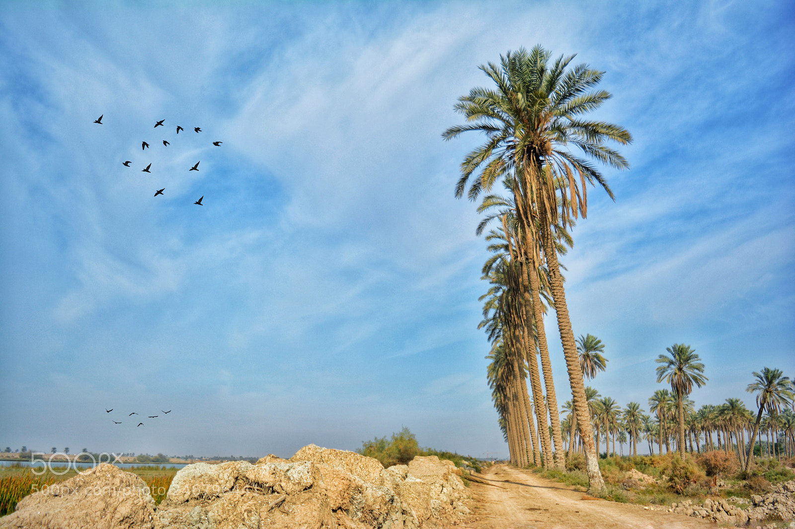Nikon D5200 sample photo. Untitled photography
