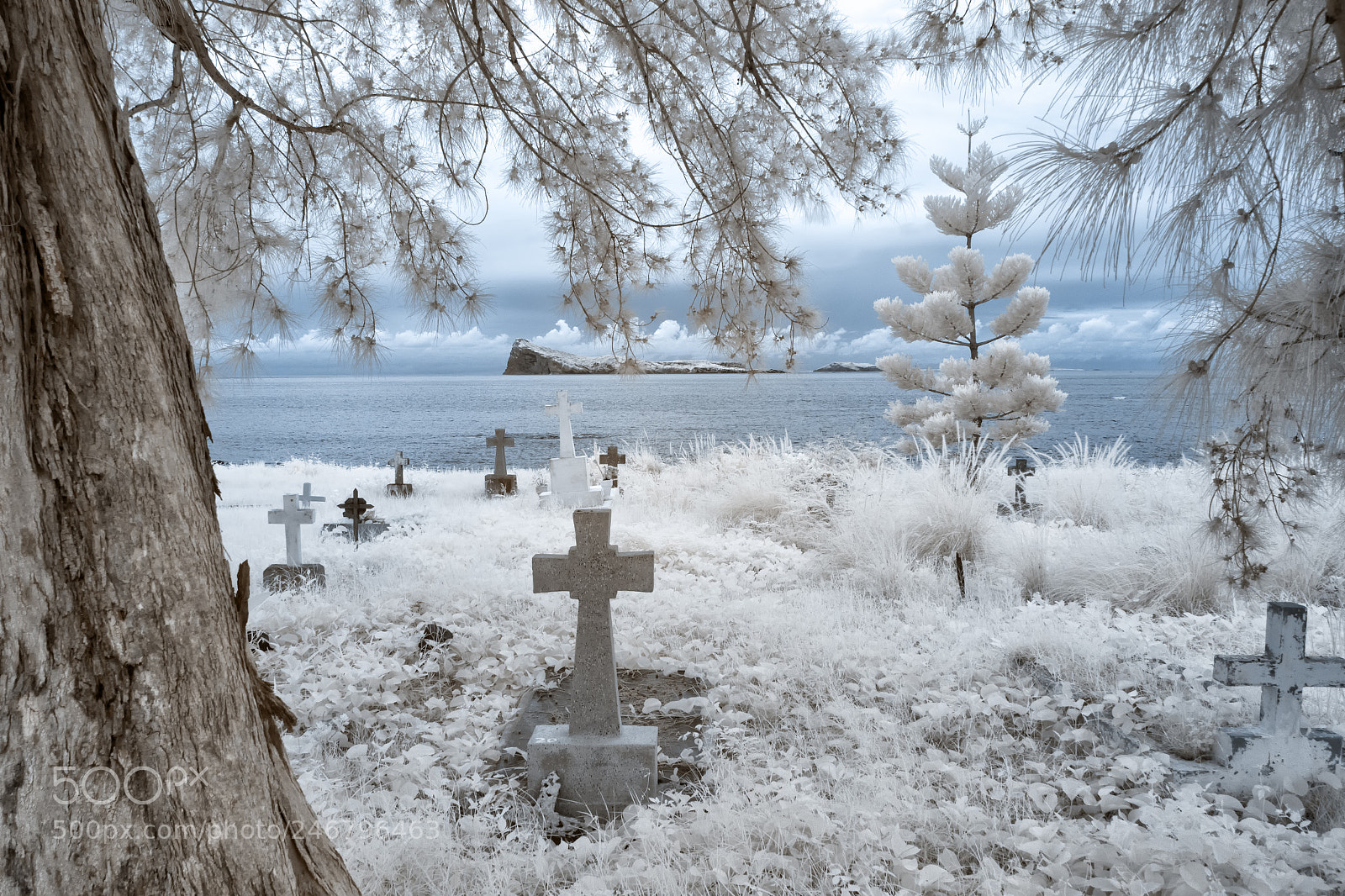 Canon EOS 600D (Rebel EOS T3i / EOS Kiss X5) sample photo. Cap malheureux cemetery photography