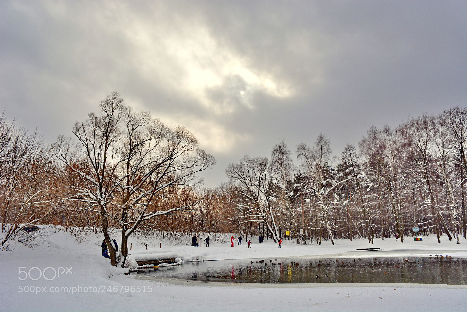 Nikon D5200 sample photo. Winter cloudy day photography