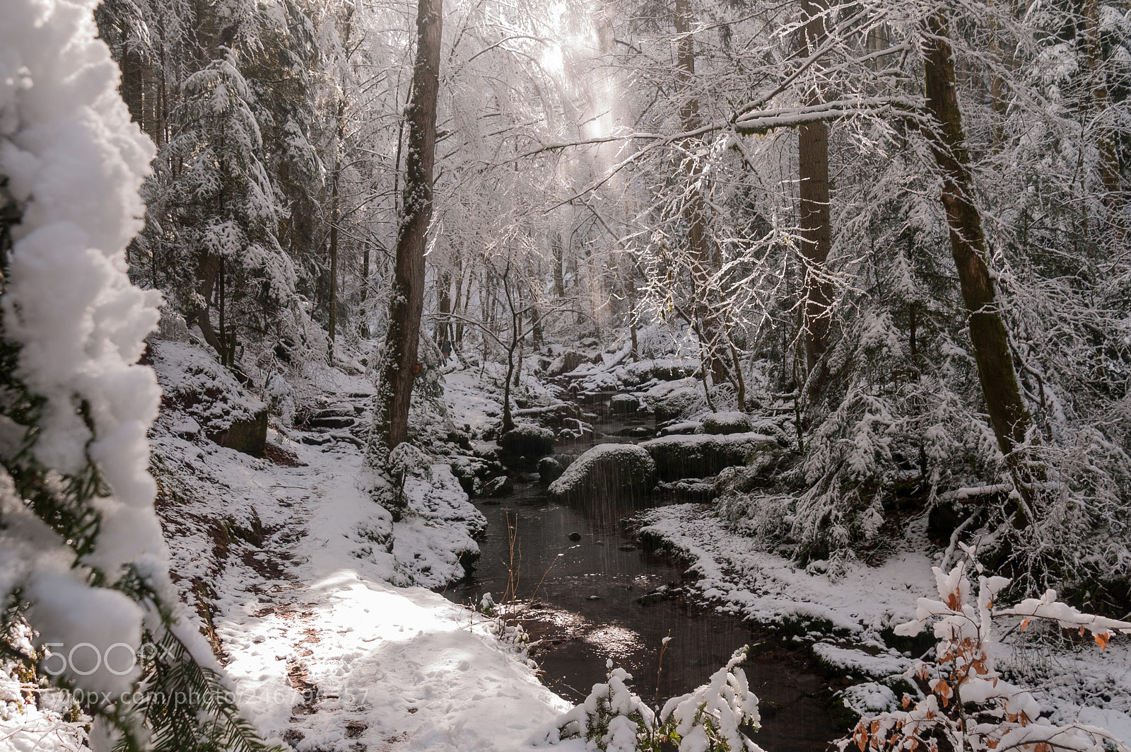 Nikon D300S sample photo. Monbachtal im winter photography