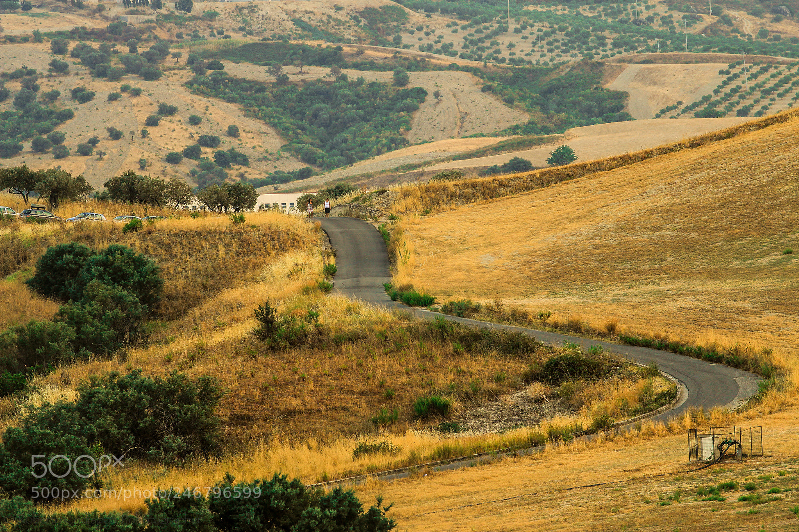 Canon EOS 600D (Rebel EOS T3i / EOS Kiss X5) sample photo. Campagna photography