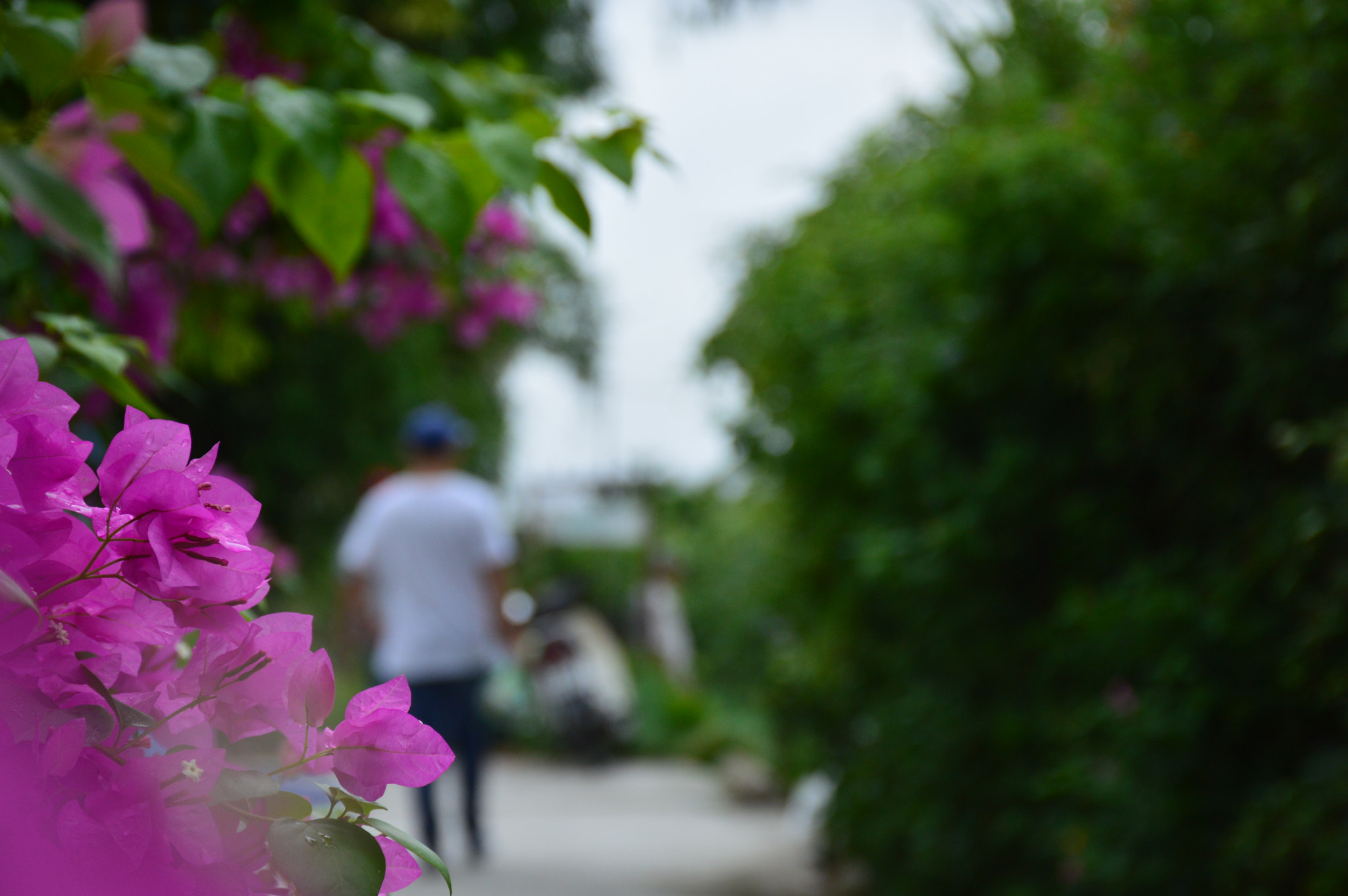 Nikon D3200 sample photo. Dsc photography