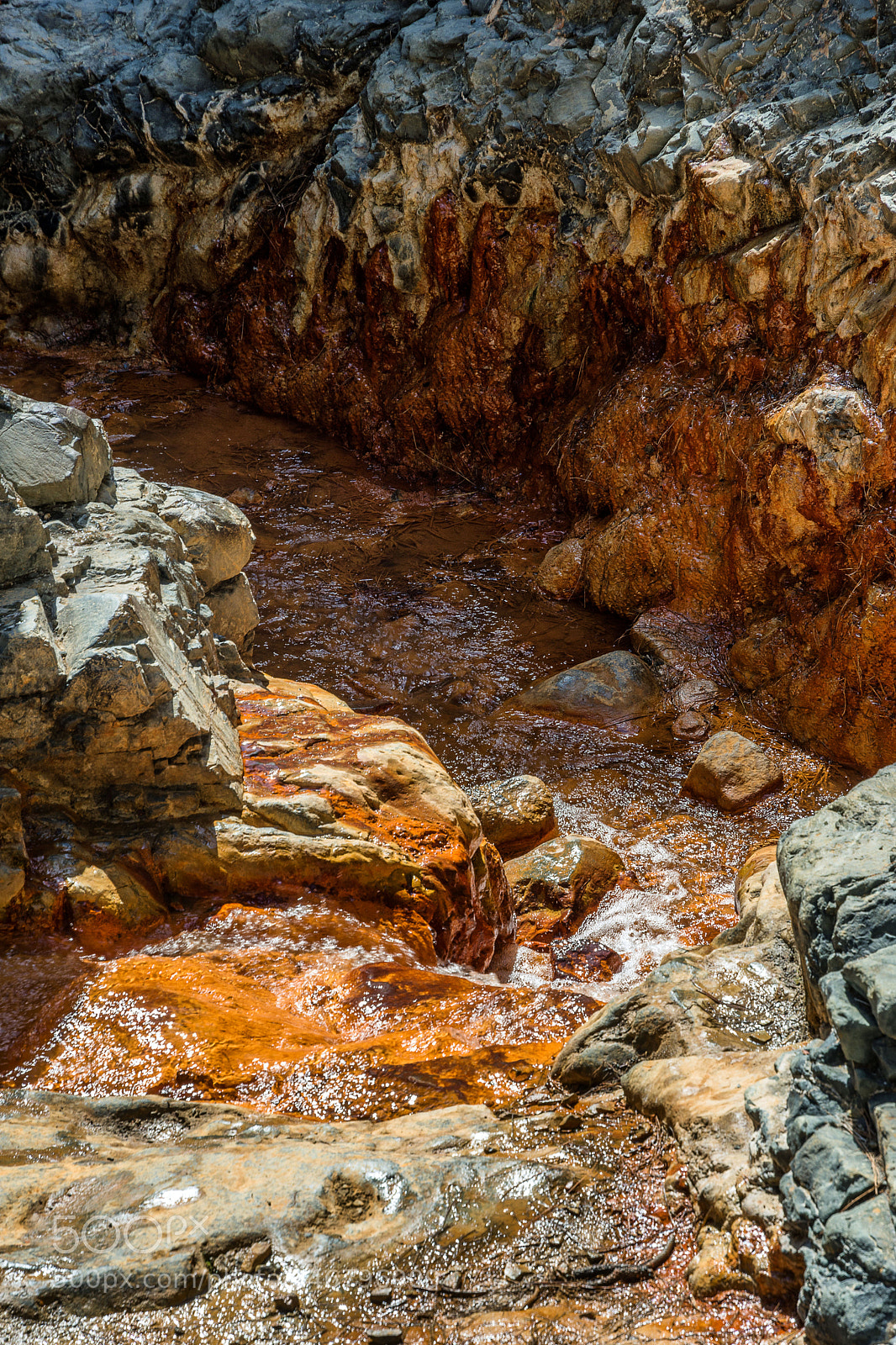 Nikon D7200 sample photo. Rio almendro amargo photography