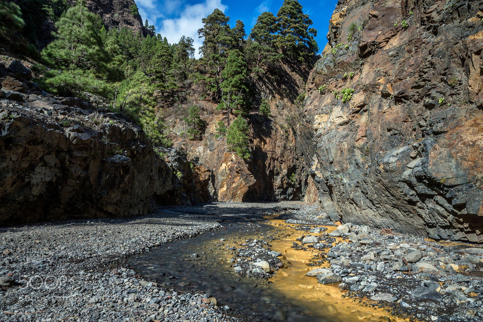 Nikon D7200 sample photo. Rio almendro amargo und photography
