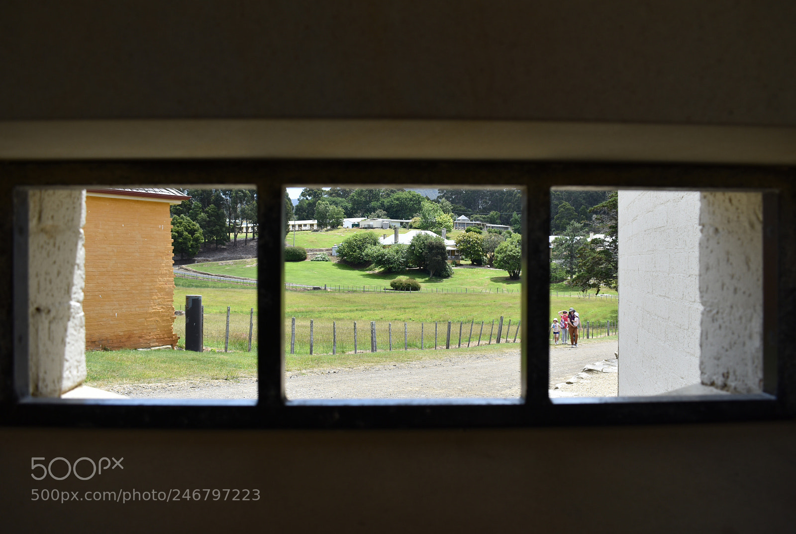 Nikon D3400 sample photo. The view from cell photography