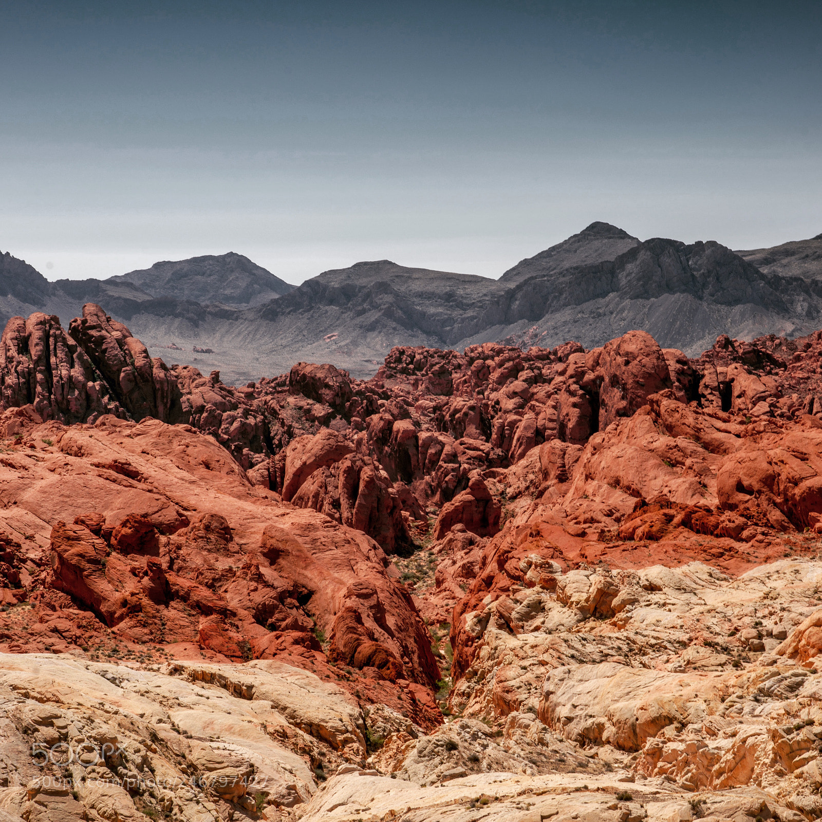 Sony Alpha DSLR-A850 sample photo. Valley of fire state photography