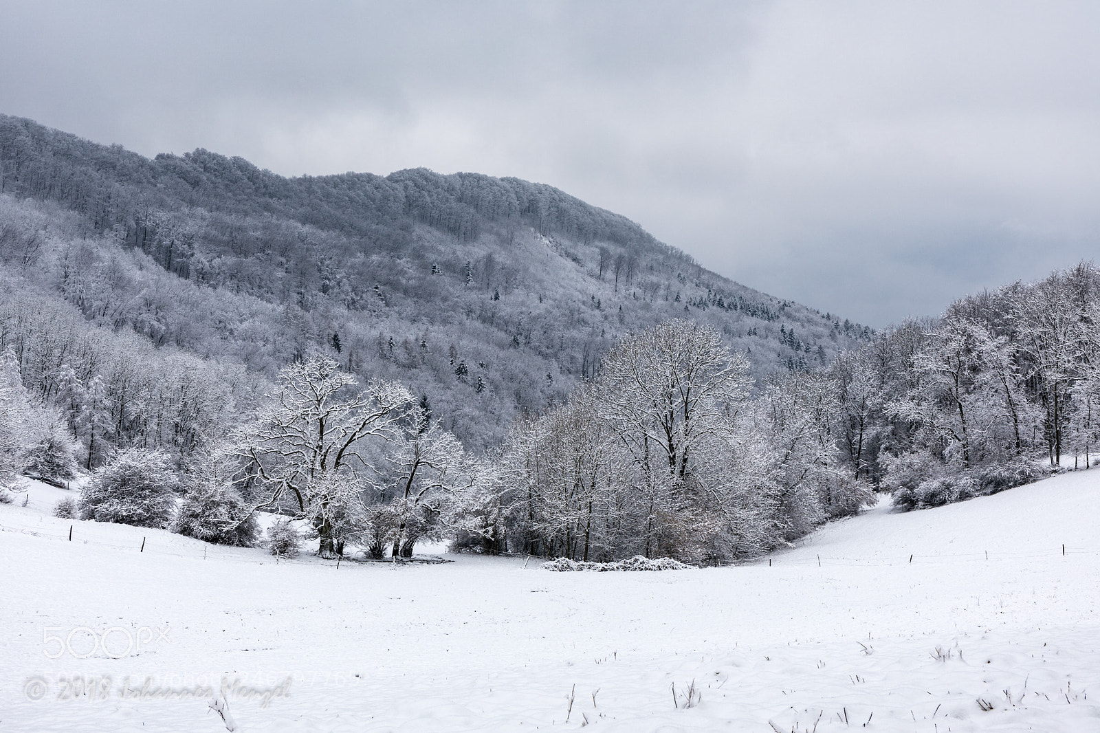 Canon EOS 5D Mark IV sample photo. Winter landscape photography