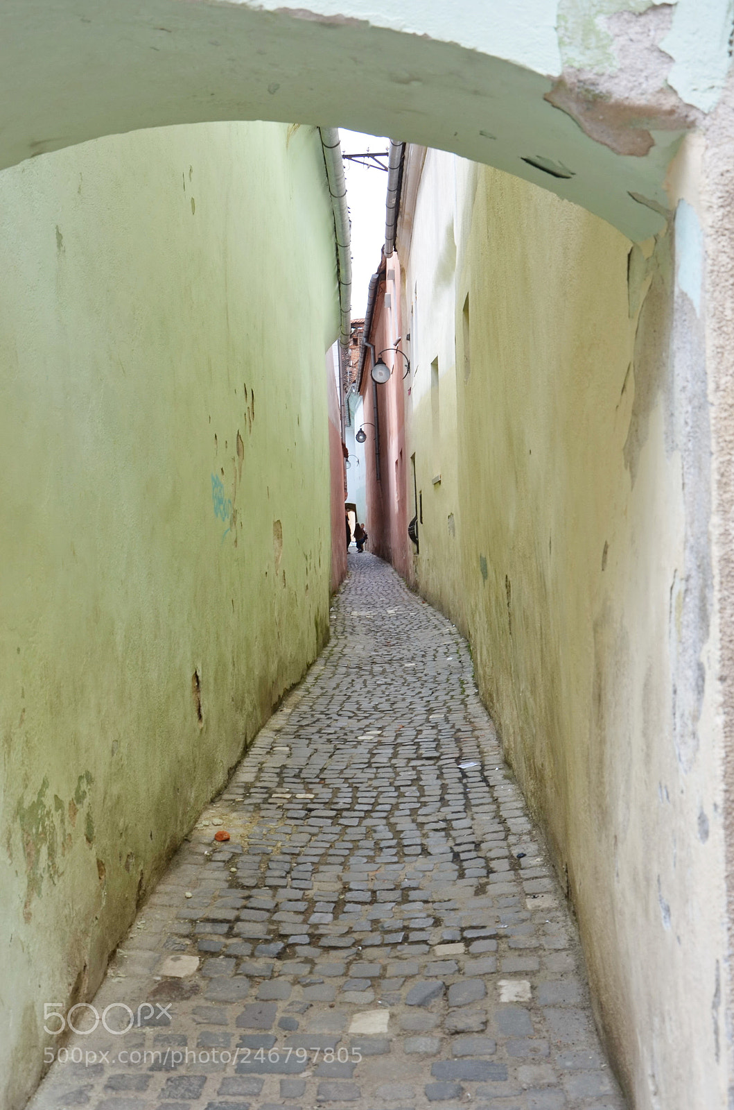 Nikon D5100 sample photo. Street of the rope photography