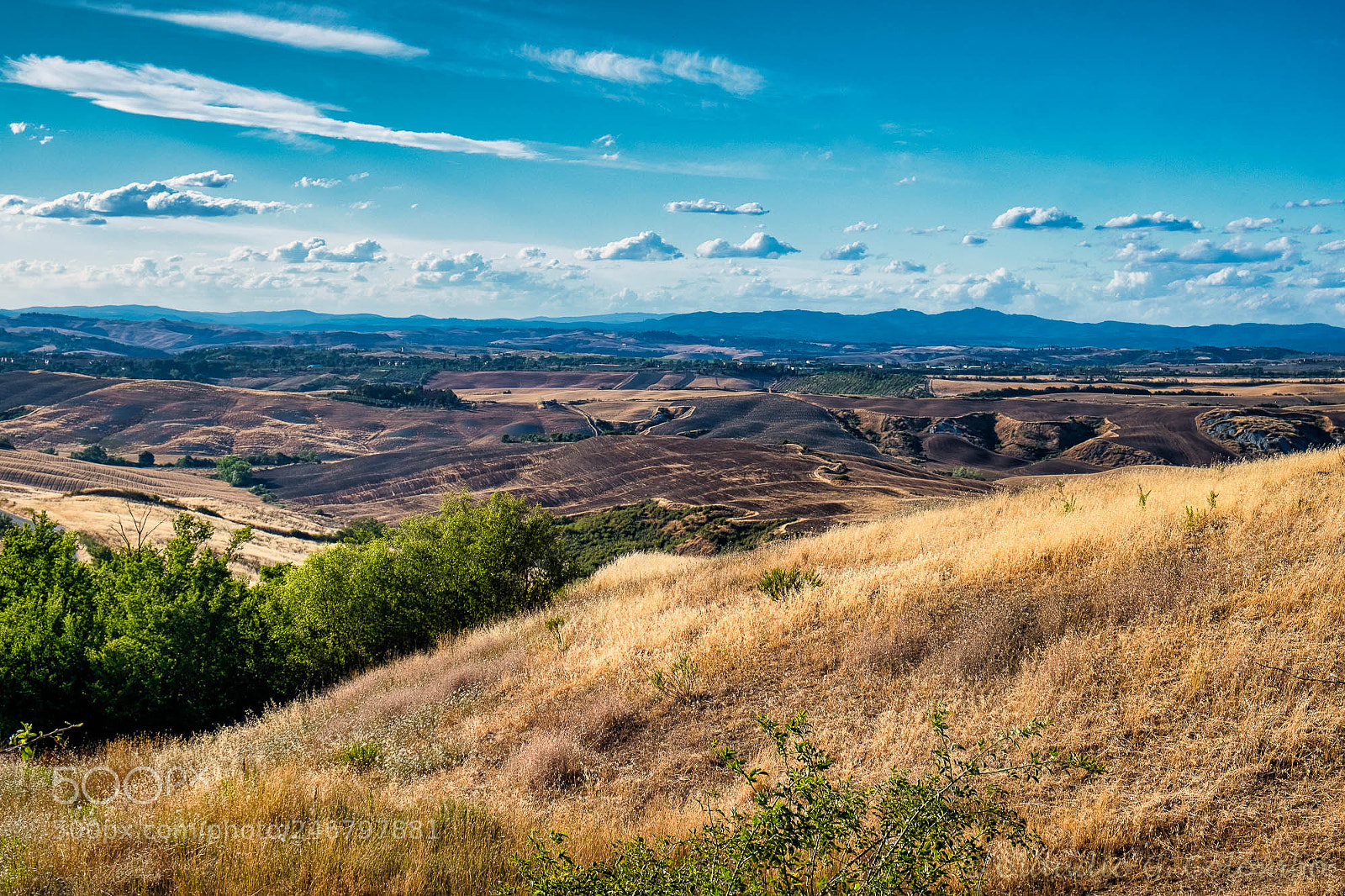 Fujifilm X-T2 sample photo. Summer landscape near asciano photography