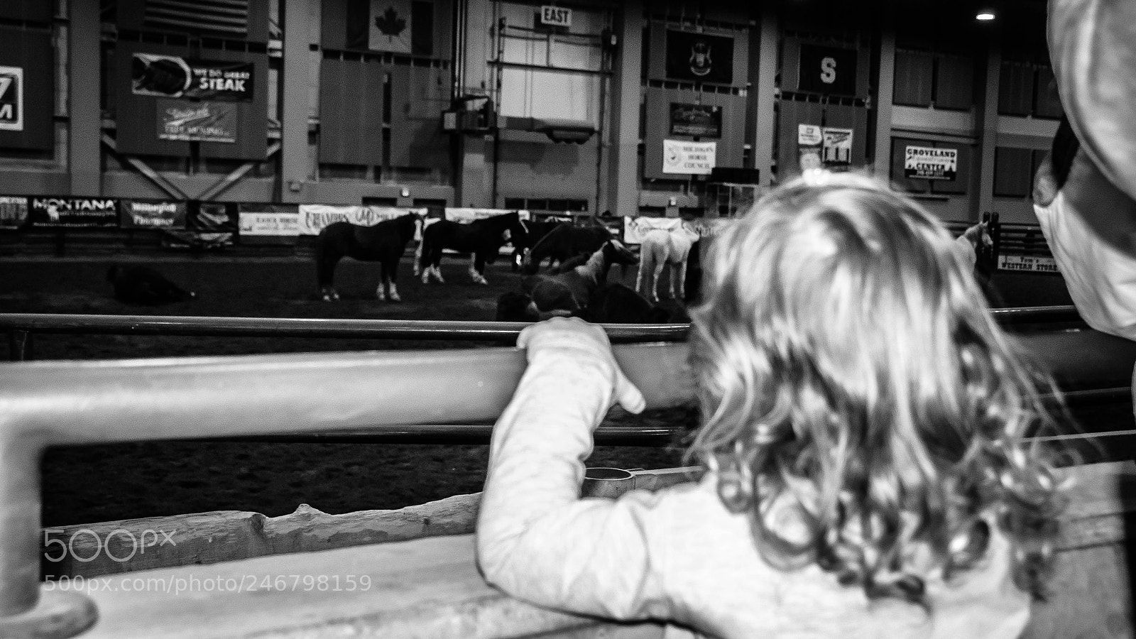 Nikon D5100 sample photo. Dreamer photography