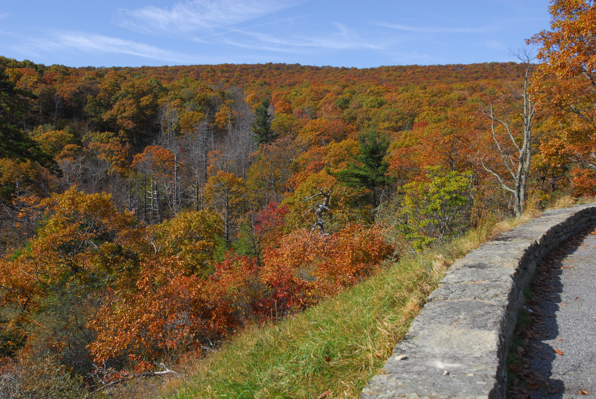 Nikon D200 + Nikon AF-S Nikkor 14-24mm F2.8G ED sample photo. Blue ridge pkwy photography