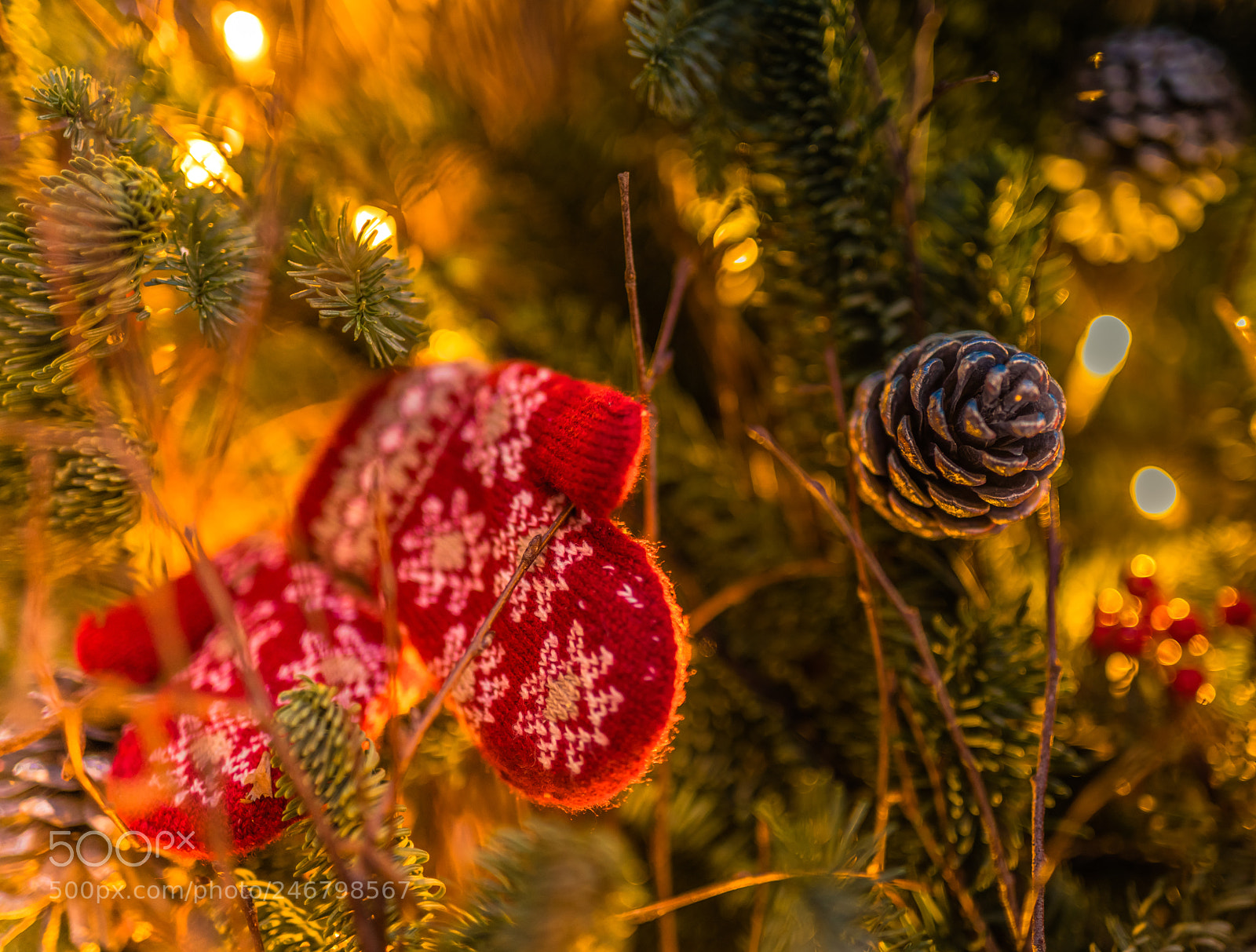 Sony a7R III sample photo. Christmas tree photography