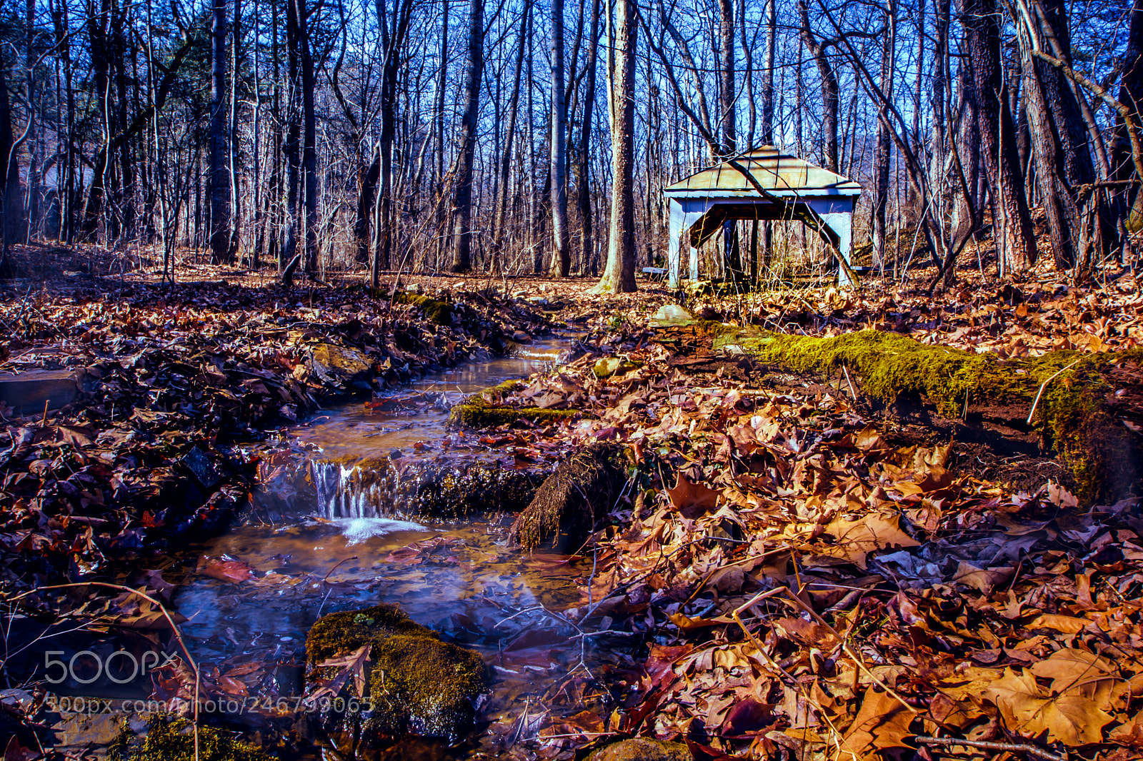 Nikon D7100 sample photo. Springhouse photography