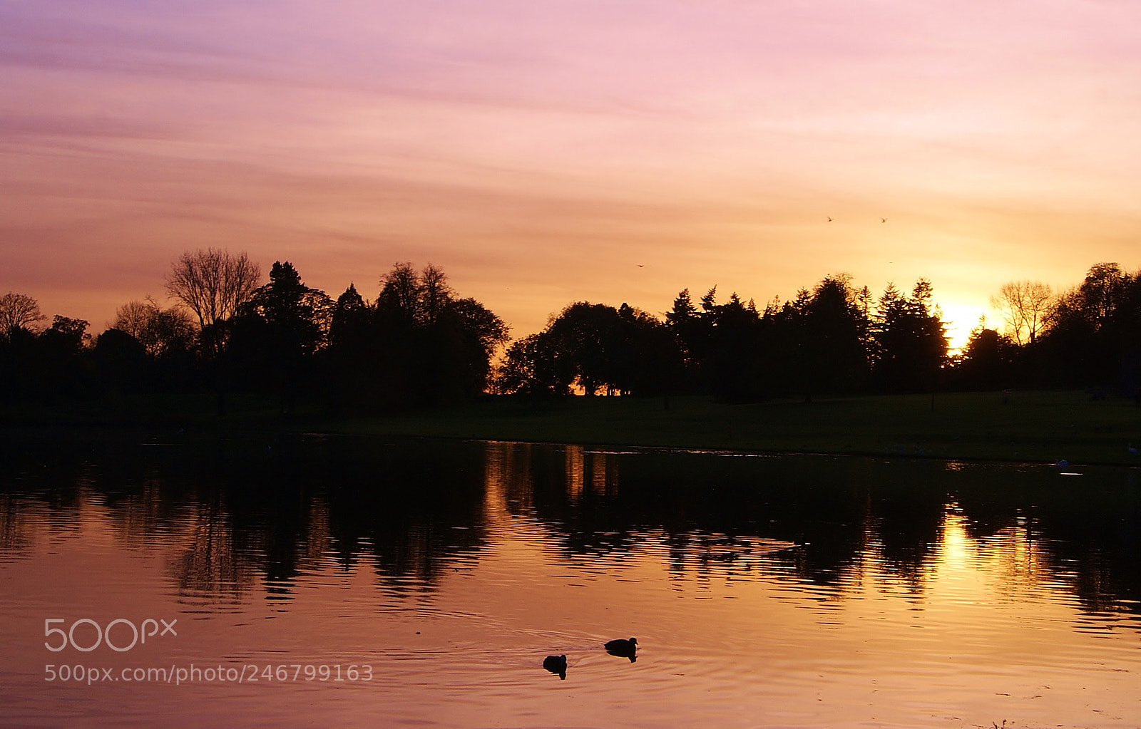 Sony Alpha DSLR-A380 sample photo. A simple sunset ... photography