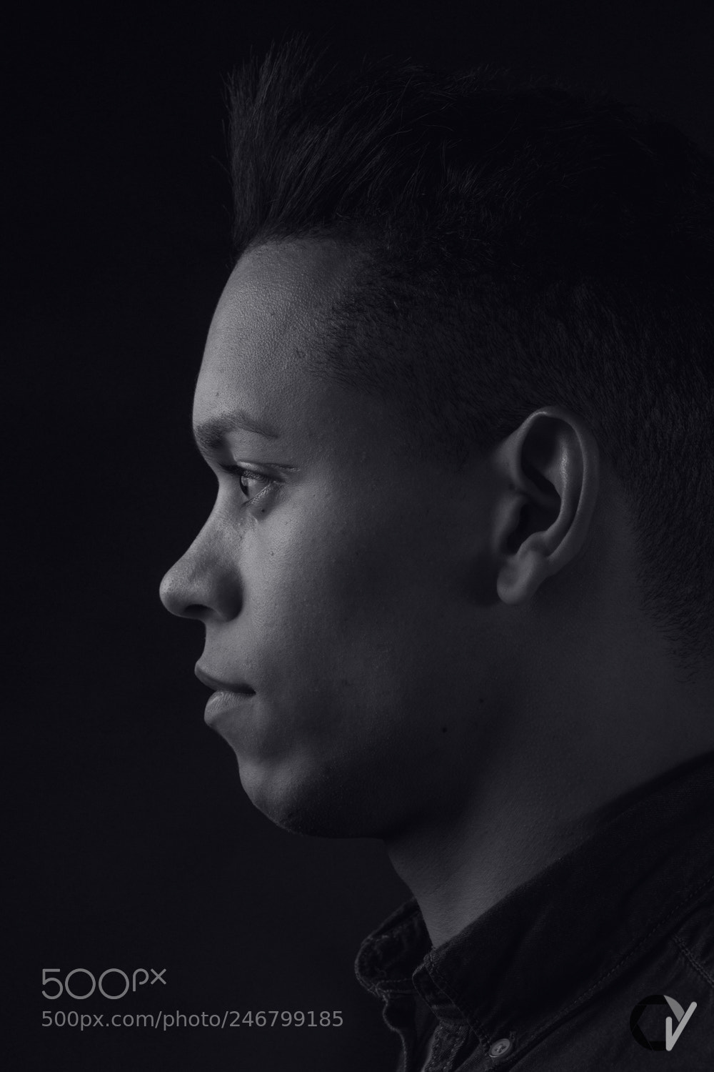 Sony Alpha DSLR-A850 sample photo. Gregorio. photography