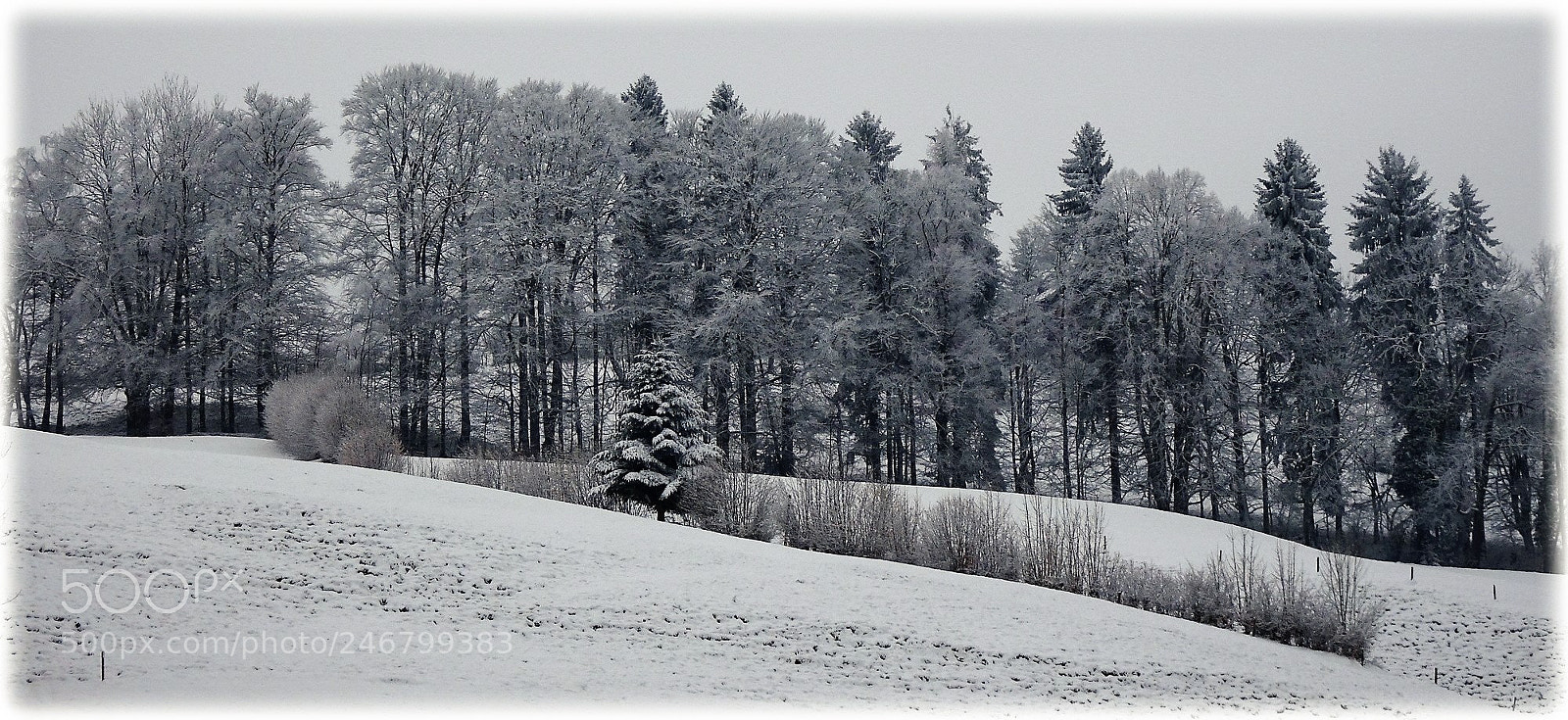 Sony Cyber-shot DSC-HX80 sample photo. "landscape" photography