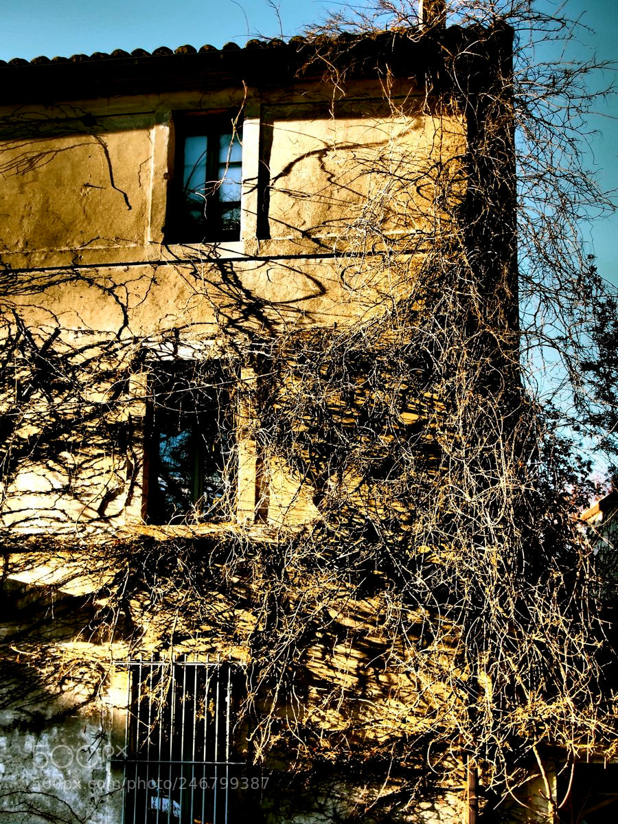 Olympus OM-D E-M5 sample photo. Vieille batisse photography