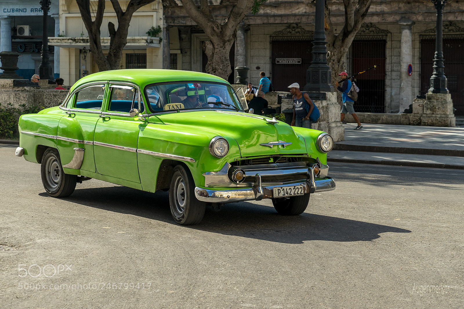 Sony a7 II sample photo. Die gro e liebe photography