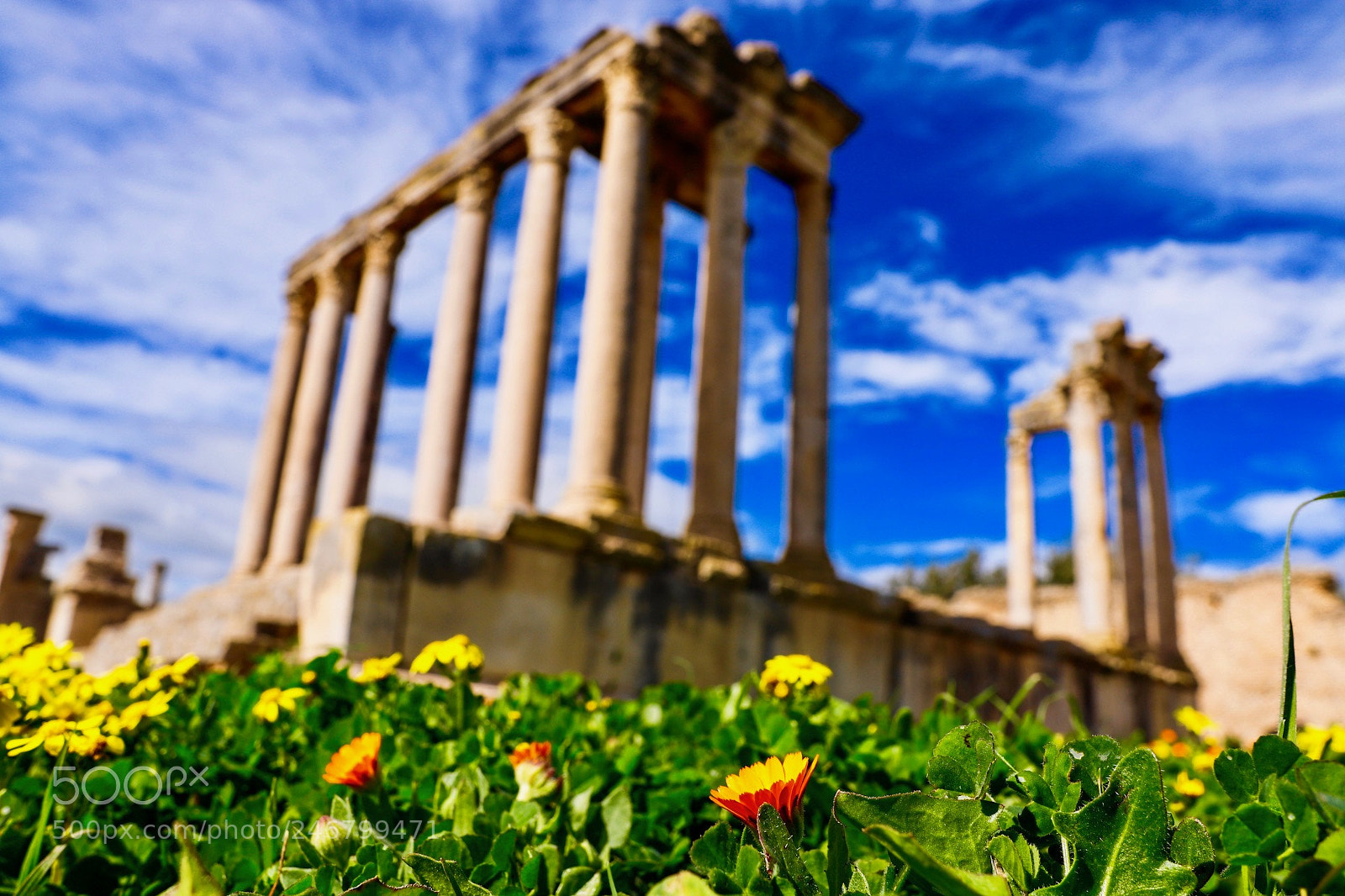 Canon EOS 6D Mark II sample photo. Dougga photography