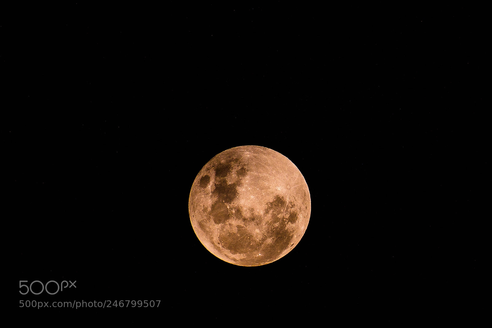 Nikon D7200 sample photo. Super blue blood moon photography
