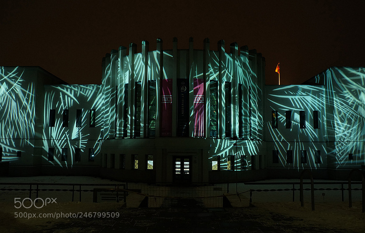 Sony Alpha NEX-5N sample photo. Mysterious light photography
