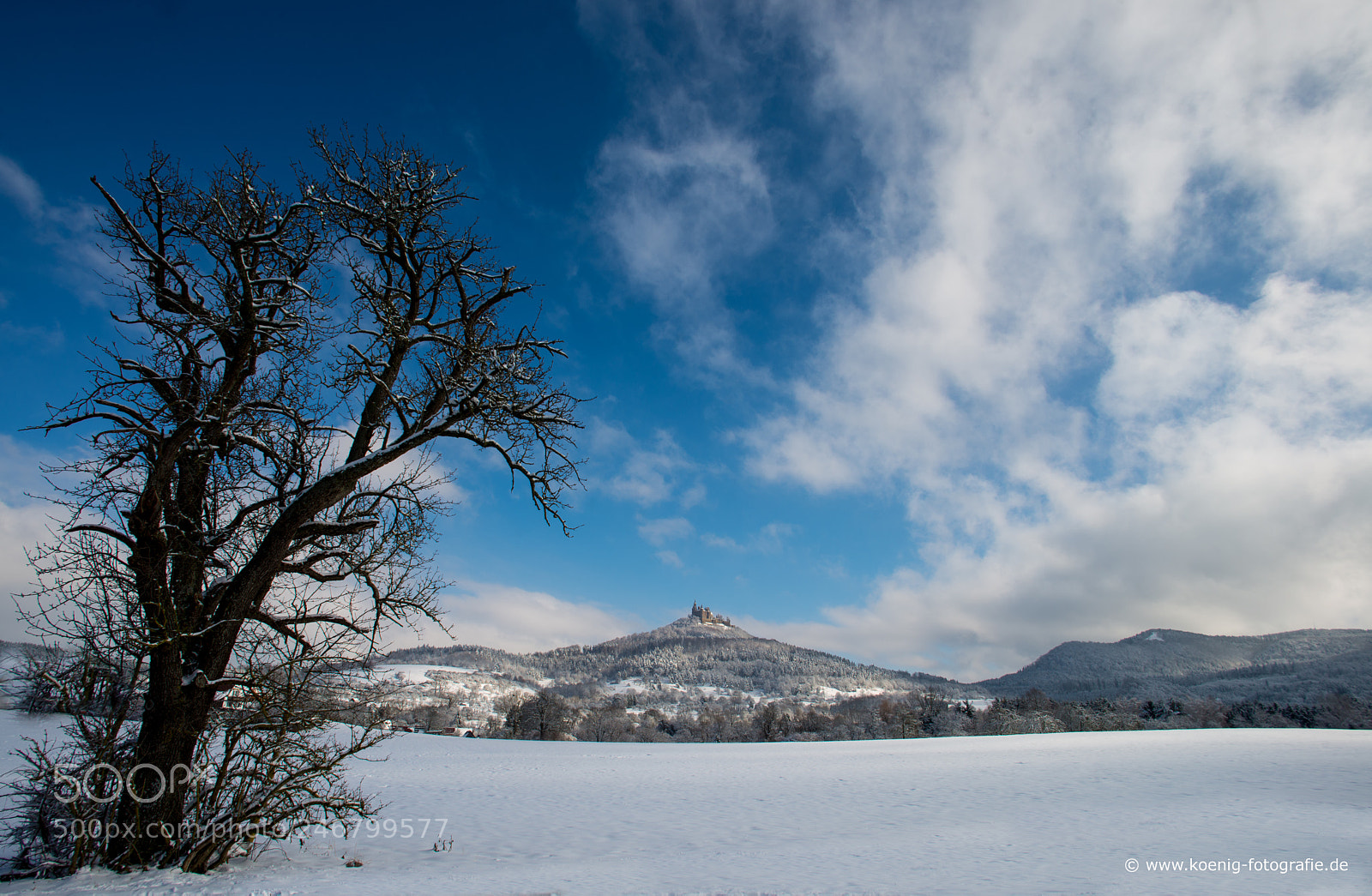 Nikon D600 sample photo. Winter landscape with castle photography