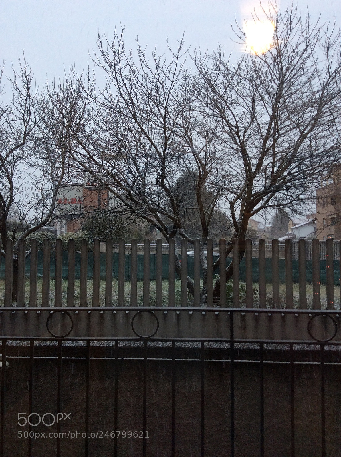 Apple iPad Air sample photo. Untitled photography