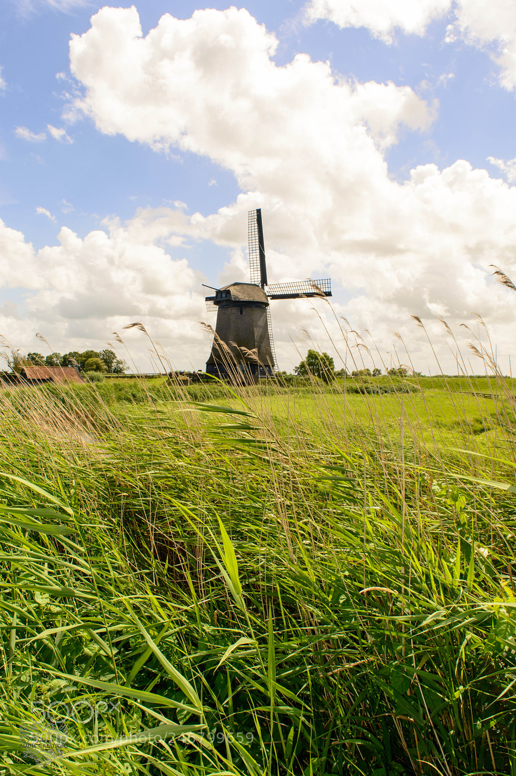 Nikon D3200 sample photo. Dutch scenery photography
