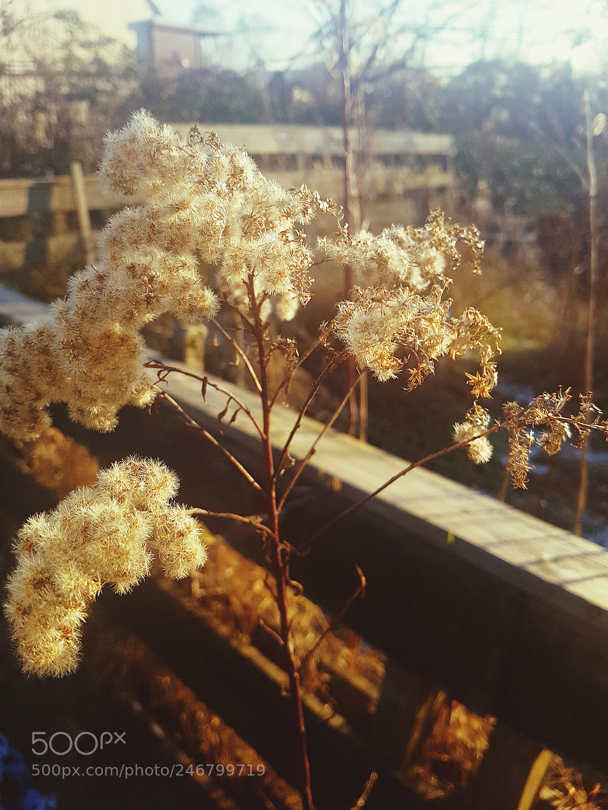 Samsung Galaxy S7 sample photo. Untitled photography