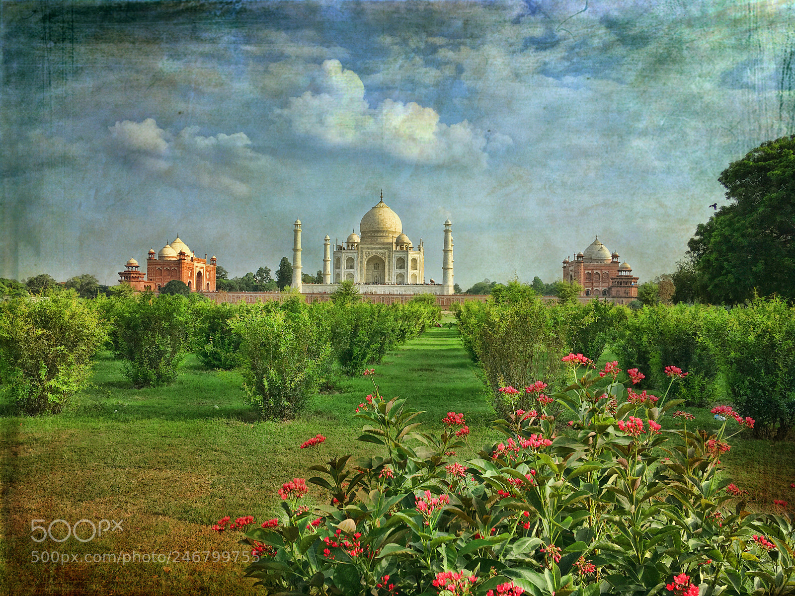 Apple iPhone 6s Plus sample photo. The mystic taj mahal photography