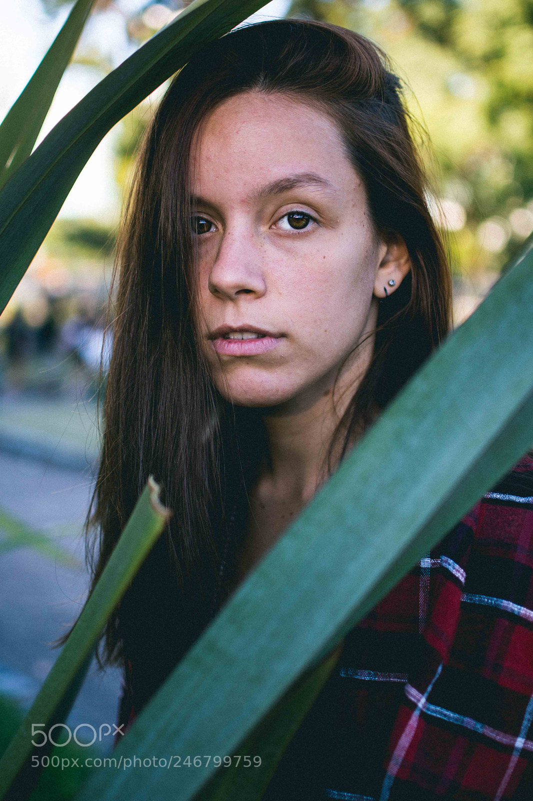 Nikon D7200 sample photo. Untitled photography