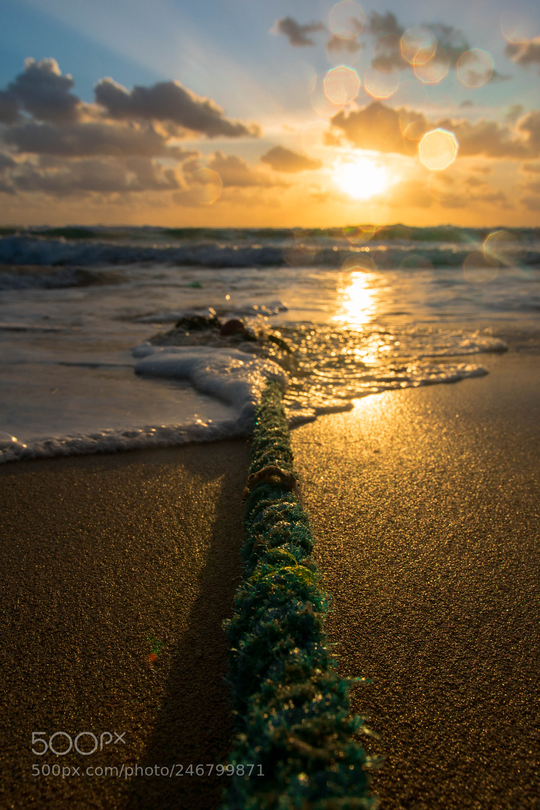 Nikon D3400 sample photo. Rope leading into the photography