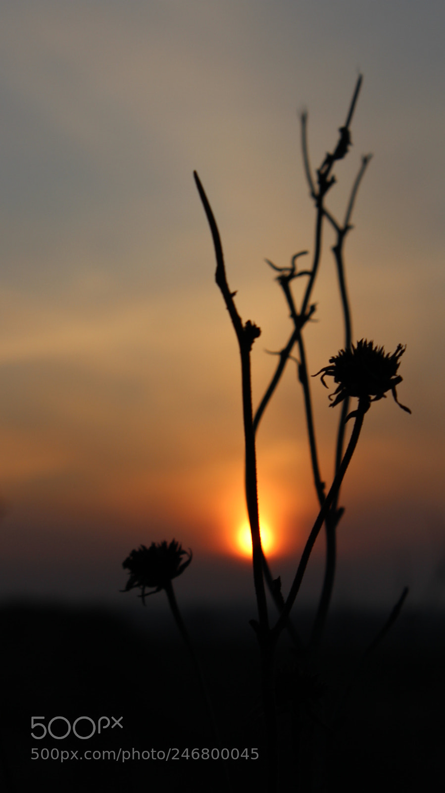 Canon EOS 600D (Rebel EOS T3i / EOS Kiss X5) sample photo. Sunset photography