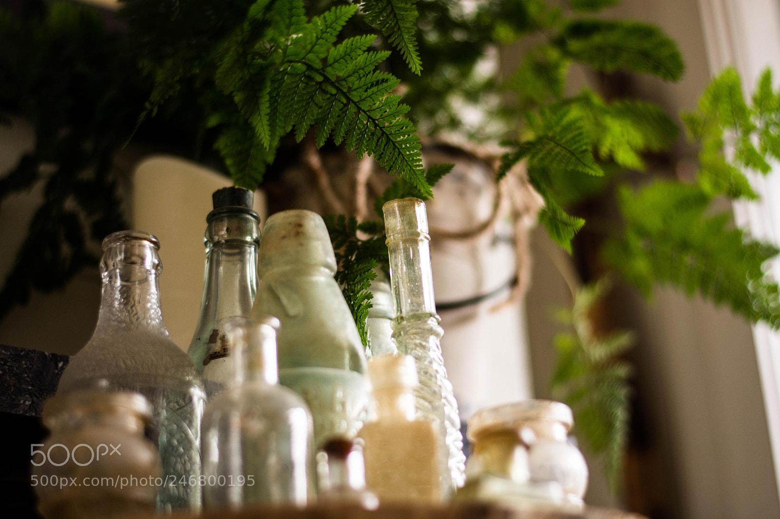 Nikon D7100 sample photo. Old bottles photography