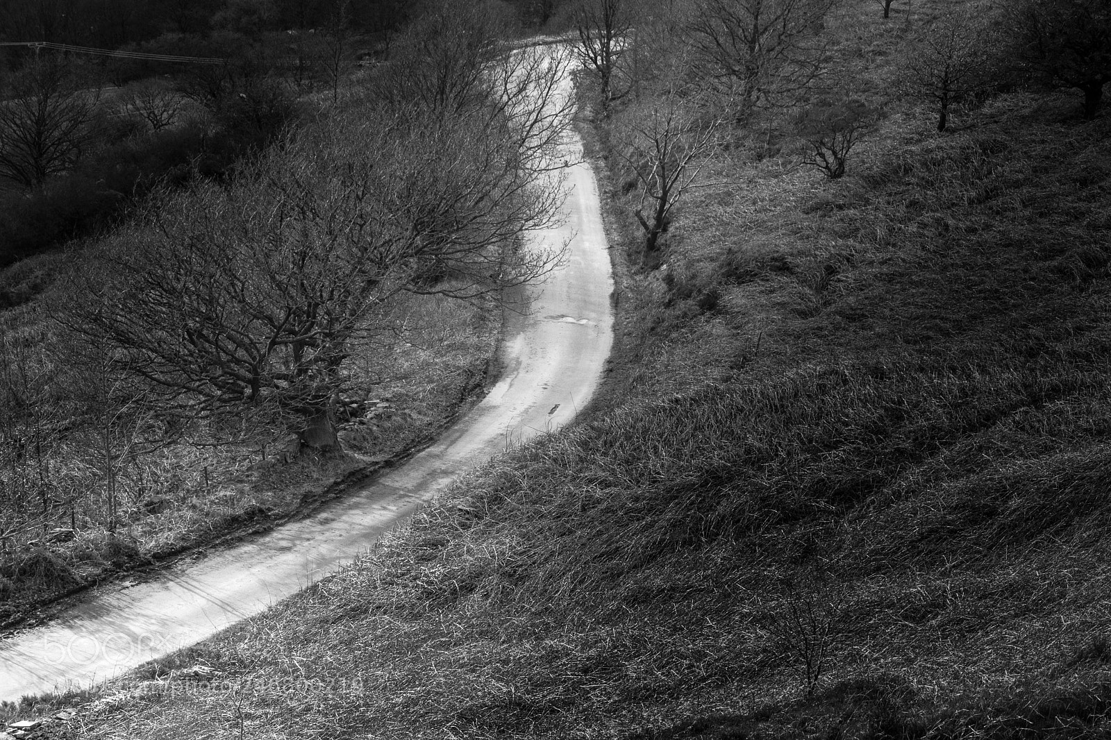 Nikon D7200 sample photo. Scar hole lane, near photography