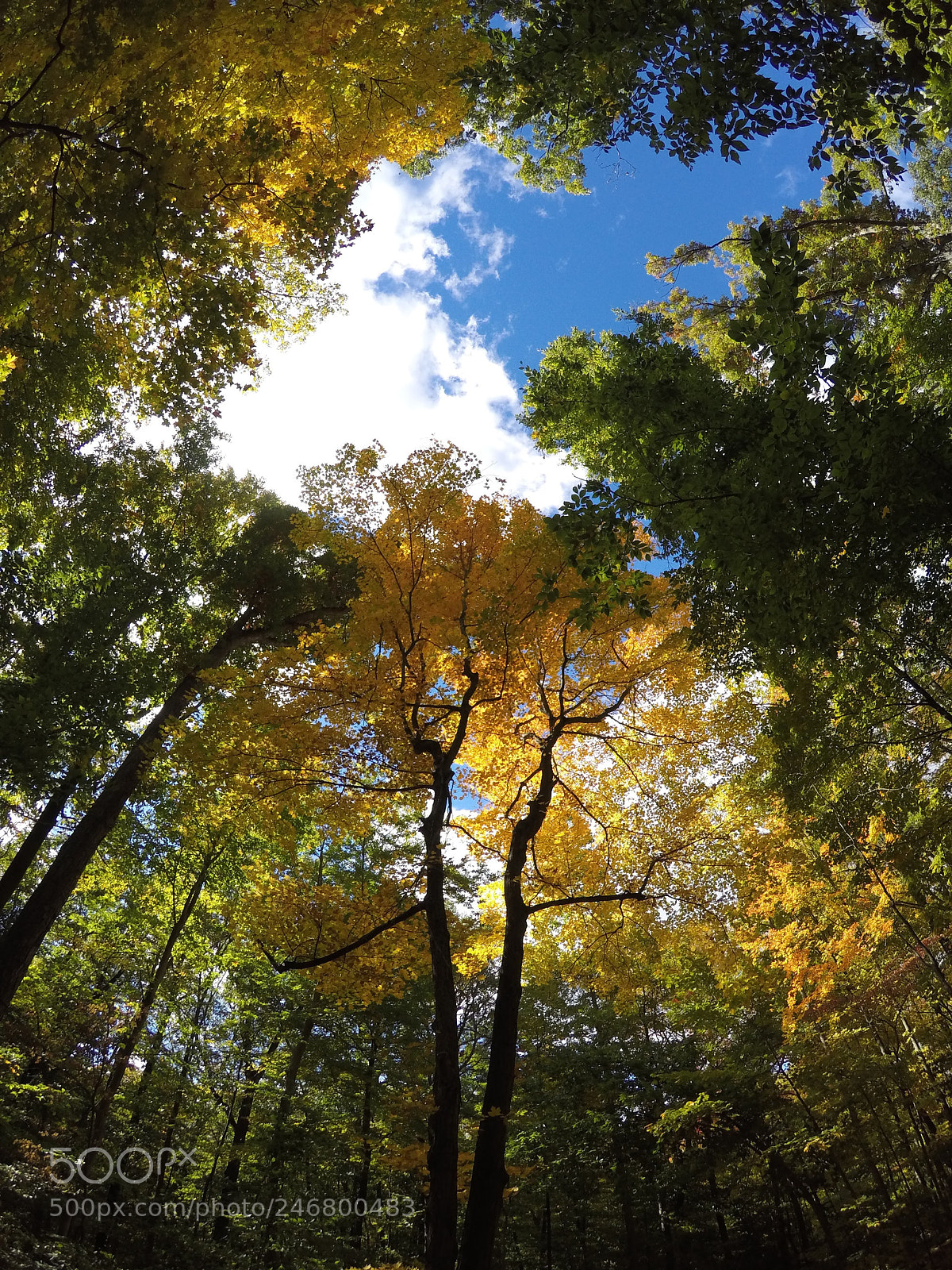 GoPro HERO4 Silver sample photo. “fall”ing in love photography