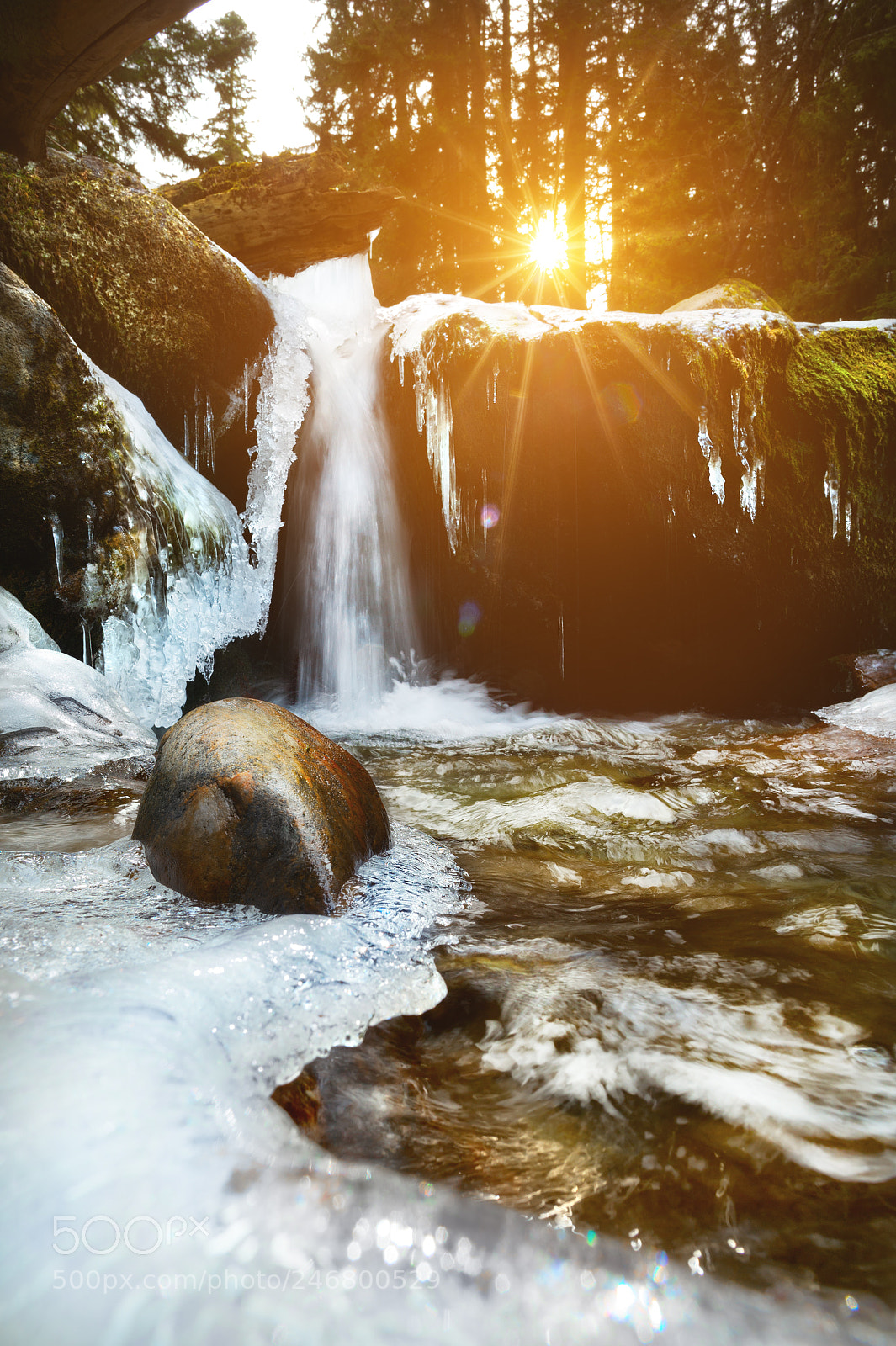 Nikon D4 sample photo. View from winter landscape photography