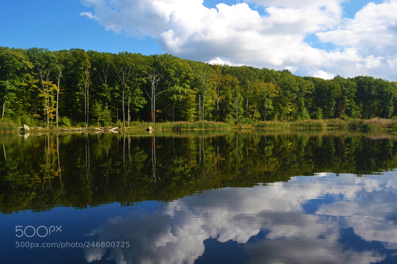 Nikon D3100 sample photo. Pondviewreflection photography