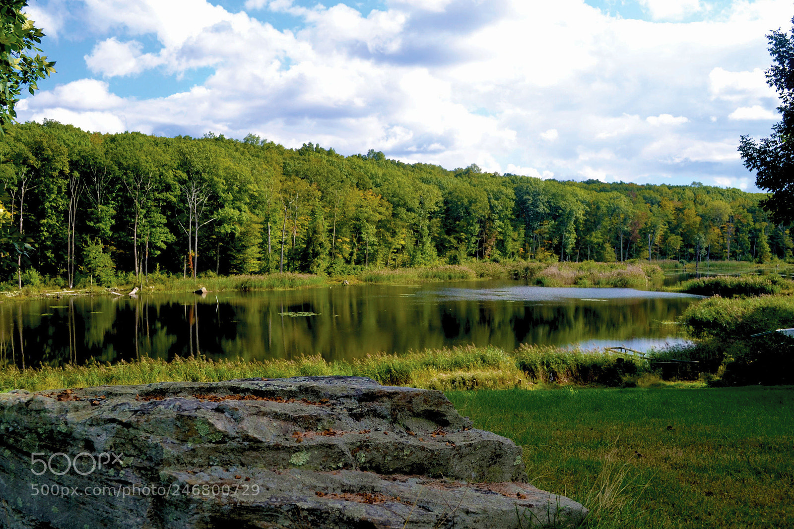 Nikon D3100 sample photo. Pondviewrock photography