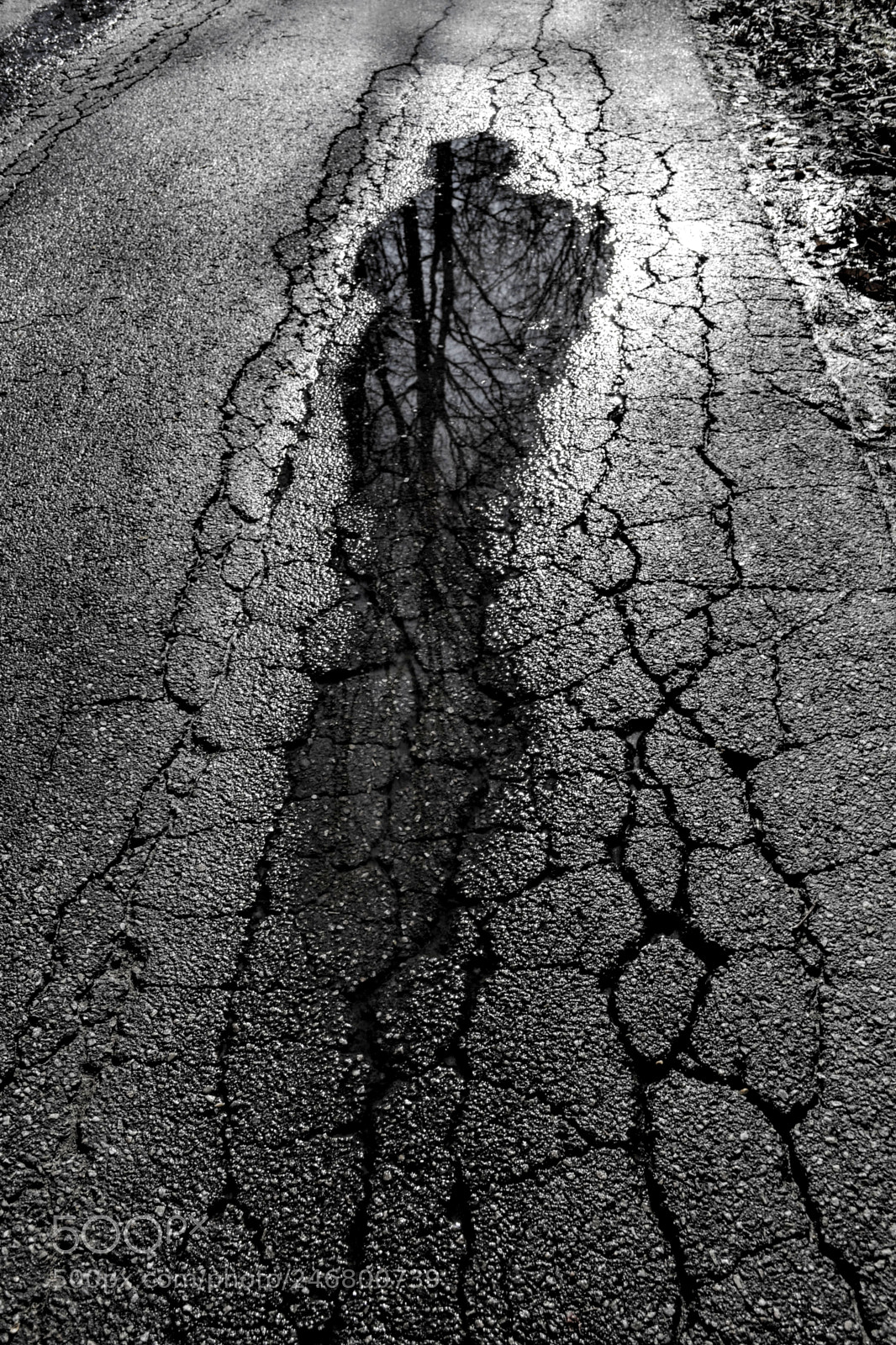 Nikon D3100 sample photo. Puddlefigure photography