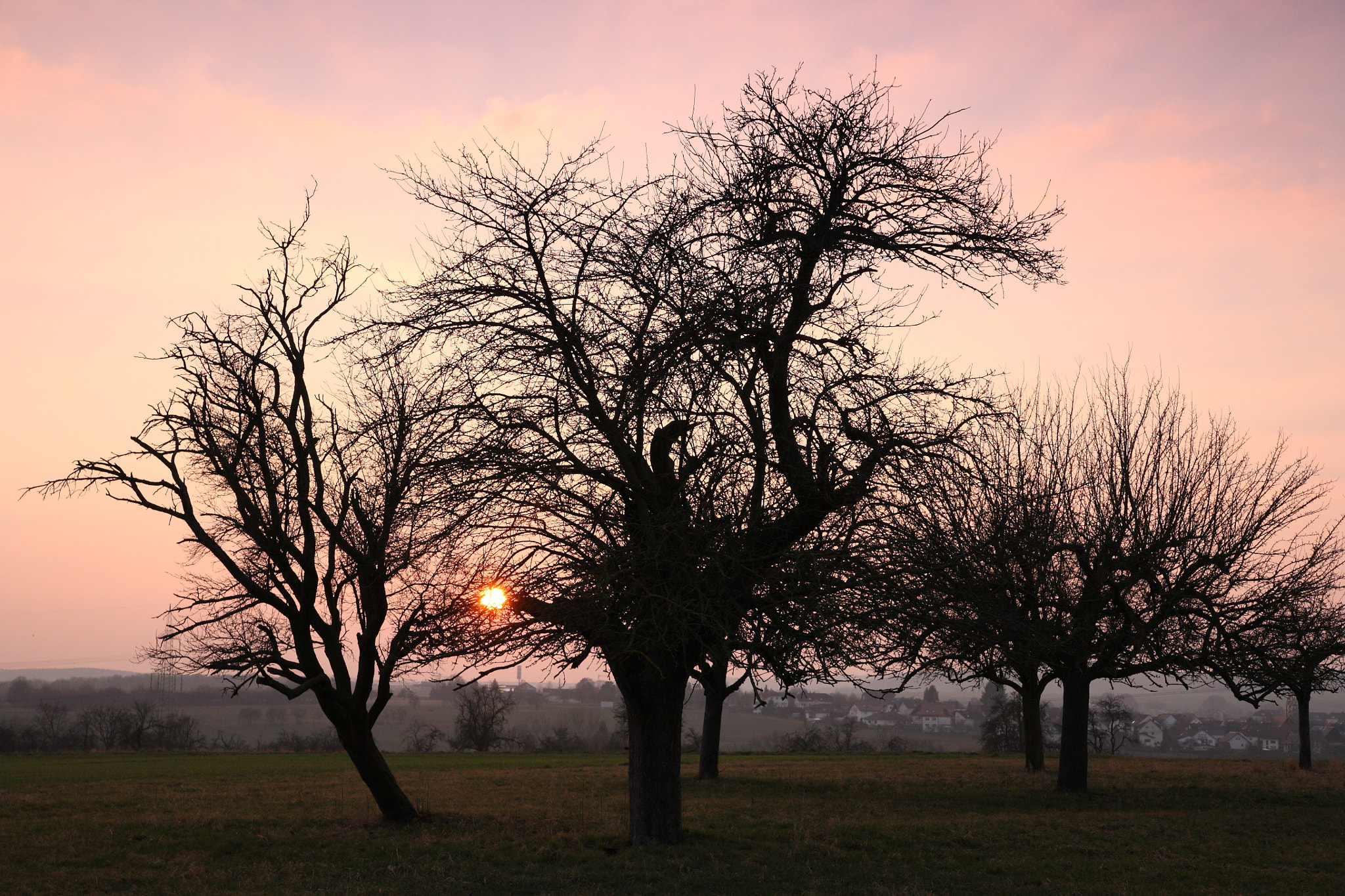 Canon EOS 5D sample photo. The sunset photography