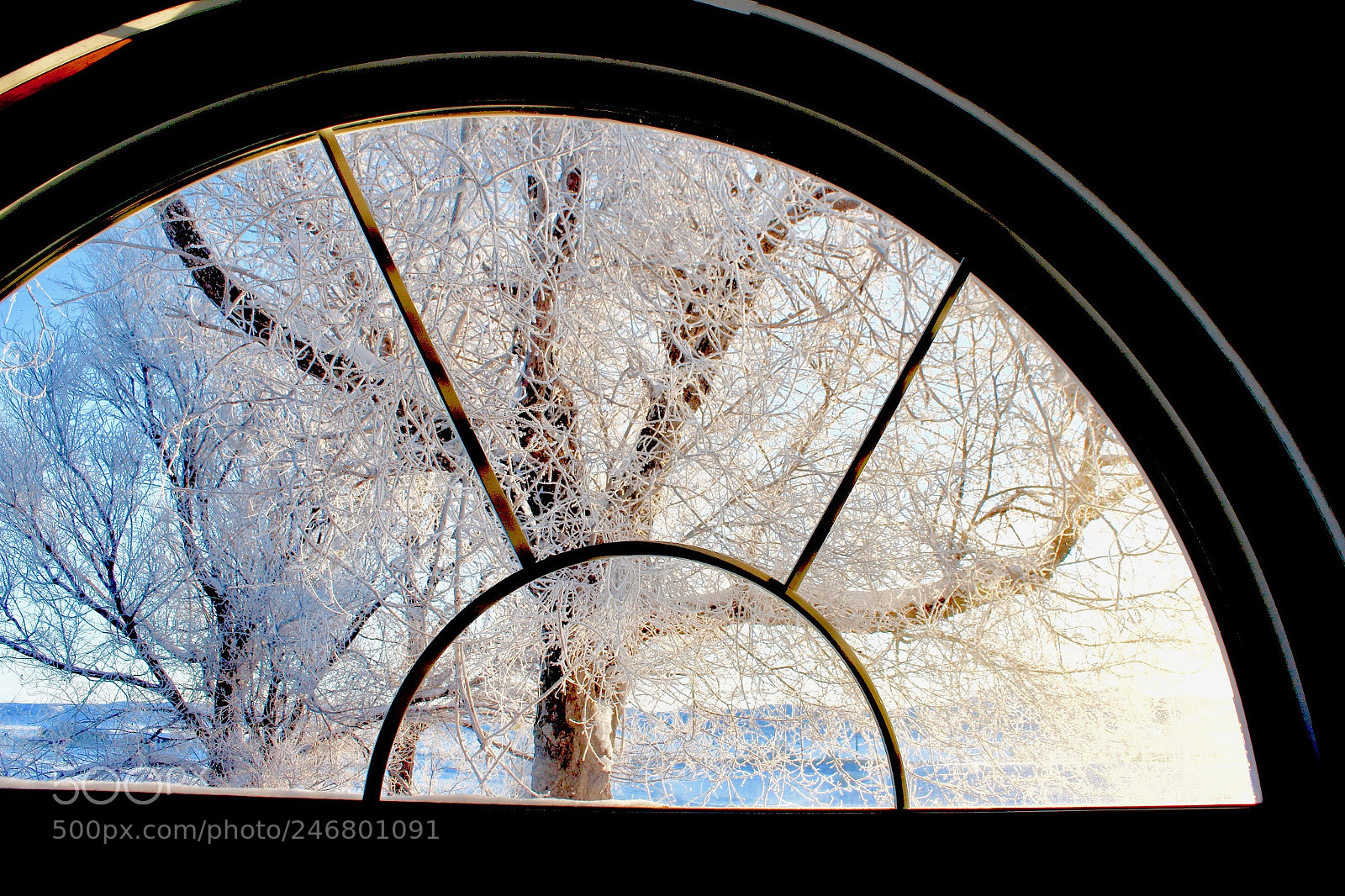Canon EOS 600D (Rebel EOS T3i / EOS Kiss X5) sample photo. Window to a cold photography