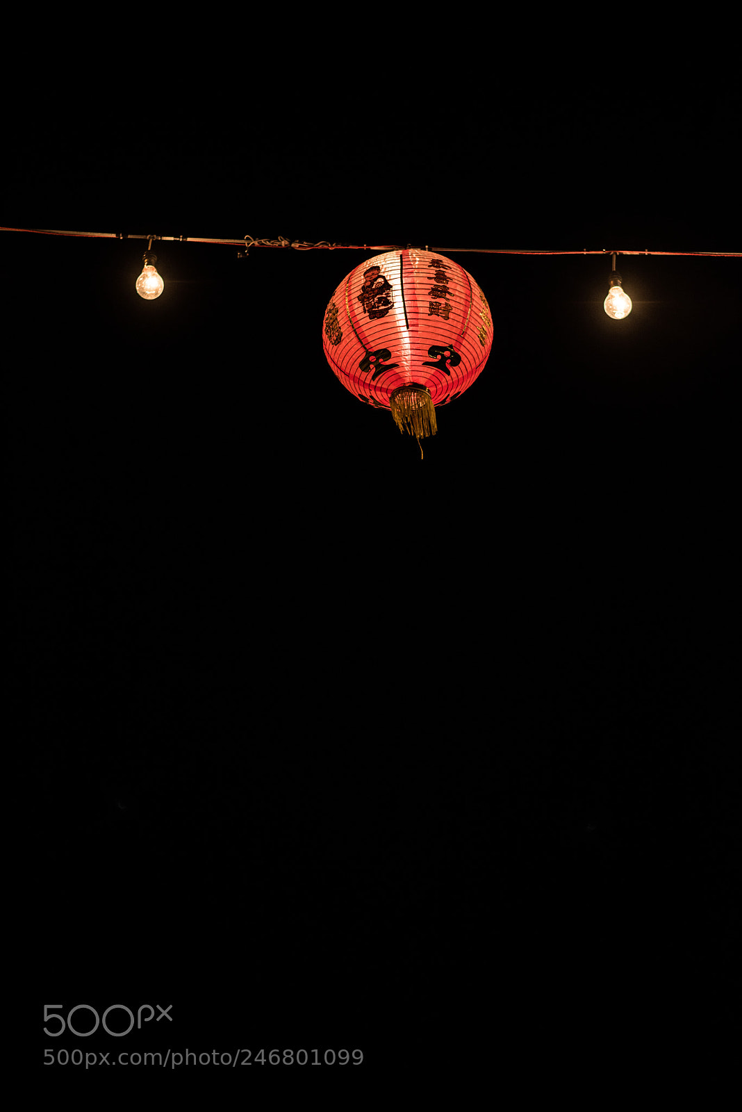 Nikon D810 sample photo. Kmr photography