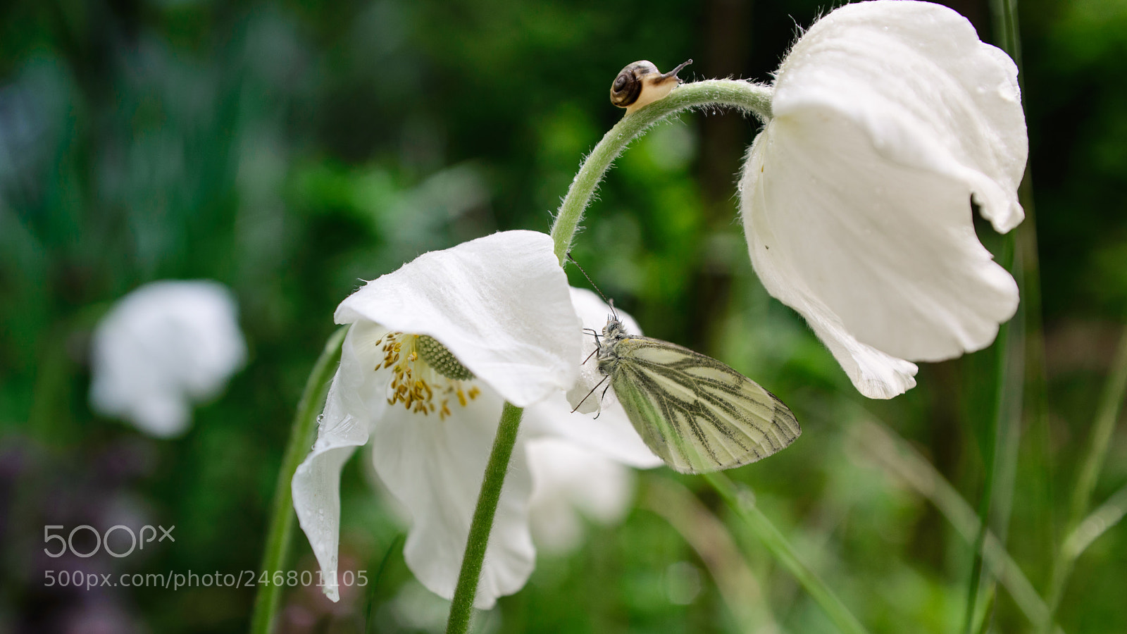 Nikon D600 sample photo. Fast&slow photography